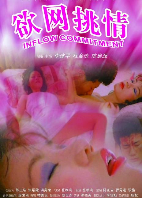 电影 欲网挑情_风骚女郎 / Inflow Commitment 1988 封面图/海报