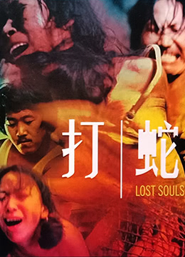 电影 打蛇 / Lost Souls 1980 封面图/海报
